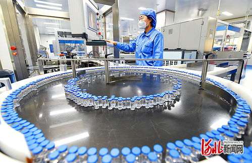 衡水新聞網(wǎng) 技術(shù)驅(qū)動(dòng)下的軟件開(kāi)發(fā)與市場(chǎng)銷售新篇章